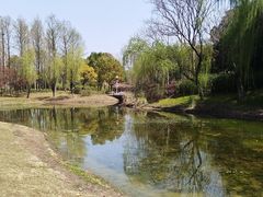 -贡湖湾湿地公园