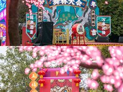 -广州长隆欢乐世界