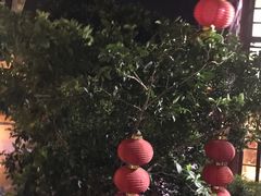 -东江渔村·古典园林·30年粤菜老字号(太和店)