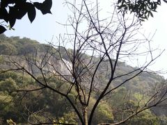 -浙东大峡谷风景区