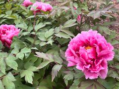 -国家植物园南园