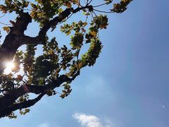 -浙江大学(玉泉校区)