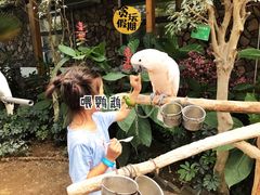 游乐设施-南宫五洲植物乐园