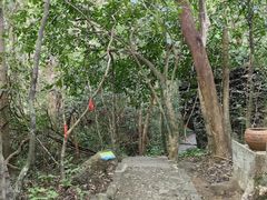 -七仙岭温泉国家森林公园