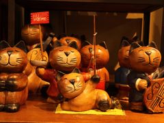 -猫咪博物馆(顶澳仔猫街店)
