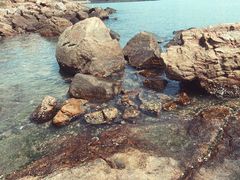 -碧桂园十里银滩