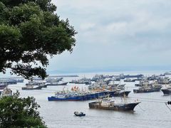 -温岭石塘海边