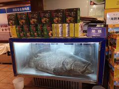 -御唐府海珊瑚主题餐厅