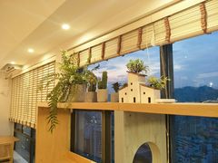 景观位-猫小主咖啡·猫咖cat cafe(福田店)