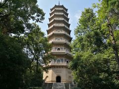 -灵谷景区