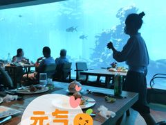 -海棠湾洲际-涛·海底餐厅·美人鱼·自助餐·海底隧道