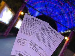-广州长隆国际大马戏
