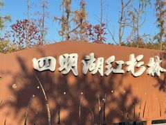 -四明湖