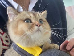 -瑞鹏宠物医院·内科·中兽医·骨科(苗圃店)