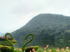 -广州市石门国家森林公园