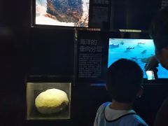 -同济大学四平路校区深海探索馆
