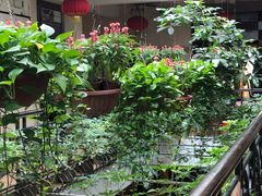 -龙的酒楼·手工早茶·顺德菜(近良路店)