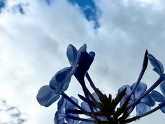 -唐咖精品咖啡(大理古城手冲店)