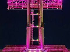 -广州长隆野生动物世界