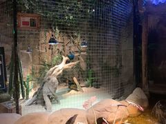 -zoonana室内动物园(东方福来德店)
