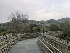 -福道