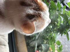 -B.O.M波姆烘焙(凤凰街店)