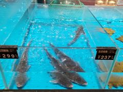 -艳阳天·非遗楚菜(武汉客厅店)
