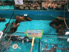-中苑海韵