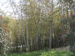-南山风景名胜区