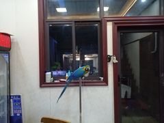 -观桥阁(锦溪店)