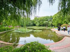 -华东师范大学第二附属中学(张江校区)