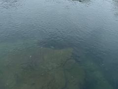-亚龙湾海底世界