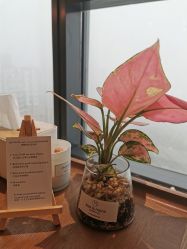 -ANNIL安奈尔科技美肤.痘敏修复中心
