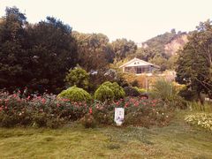 -阿哈湖国家湿地公园