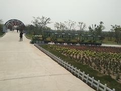 -南通鲜花小镇