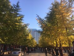 -辽宁大学(崇山校区)