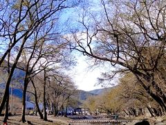 -鹿亭中村
