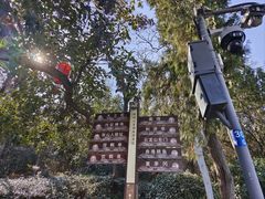 -云龙山