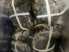 -阳澄湖大闸蟹·琼灵阁牌品牌连锁(吴中总店)