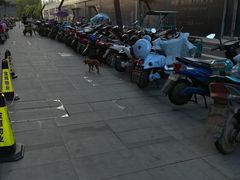 -汉堡王(金鹰天地广场店)