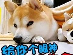-VR 间客漫·PS电玩·虚拟现实包间游戏电竞(街道口店)
