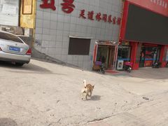 -五号足道休闲养生馆(新街小区店)