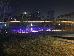 -金鸡岭桥头公园