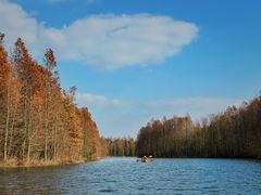 -上海海湾国家森林公园