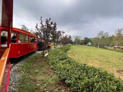 -静之湖度假区