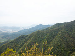 -午潮山国家森林公园