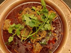 -友乐居羊蝎子(西直门店)