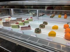 -TD66高山铁皮石斛养生茶饮