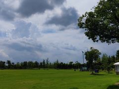 -上海长兴岛郊野公园