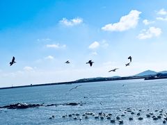-烟墩角天鹅湖